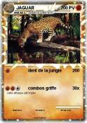 JAGUAR