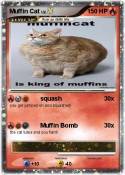 Muffin Cat