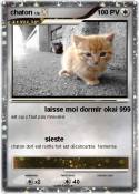 chaton