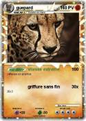 guepard