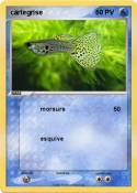 cartegrise
