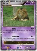 lion lion