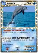 FLIPPER