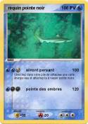 requin pointe