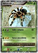spinotode spinotode