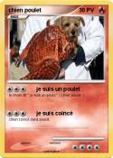 chien poulet