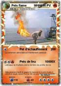 Pets flame