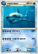 requin blanc requin blanc
