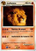 lionflamme