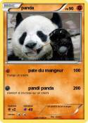 panda