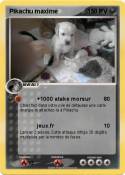 Pikachu maxime