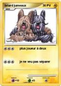 briard jumeaux