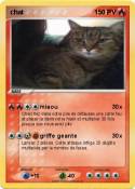 chat