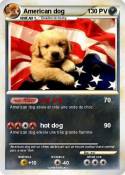 American dog