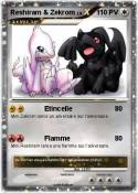 Reshiram &