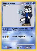 Marc le husky