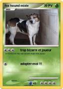 fox hound mixte