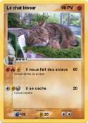 Le chat bissar