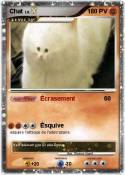 Chat