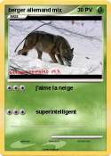 berger allemand