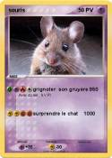 souris