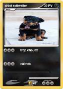 chiot