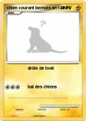chien courant
