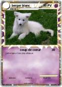 berger blanc