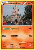 chateau dysney