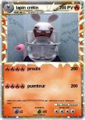 lapin crétin