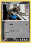 chat flingeur