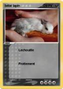bébé lapin