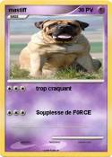 mastiff mastiff
