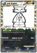 poti dragon