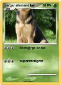 berger allemand