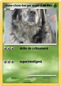 chow-chow-berger