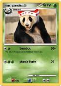 maxi panda