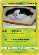 Tartine de chat