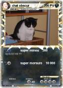 chat obscur