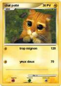 chat potté