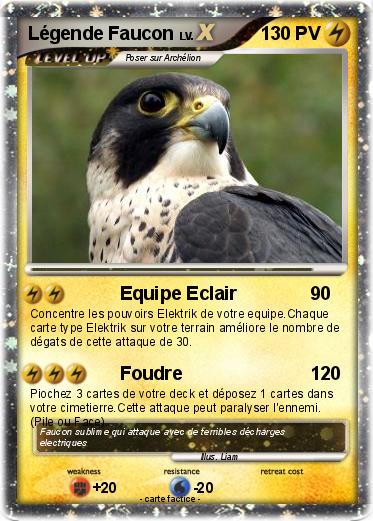 Pokemon Légende Faucon