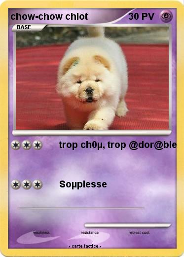 Pokemon chow-chow chiot