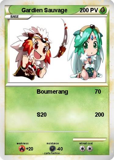 Pokemon Gardien Sauvage