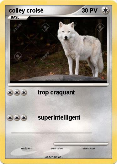 Pokemon colley croisé