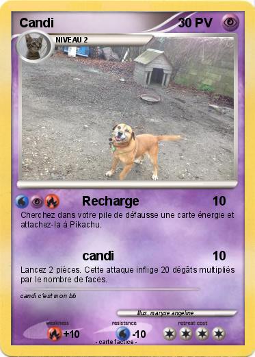 Pokemon Candi