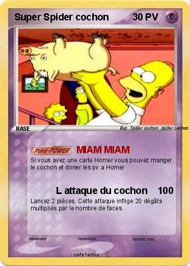 Pokemon Super Spider cochon