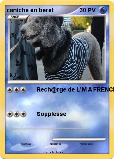 Pokemon caniche en beret