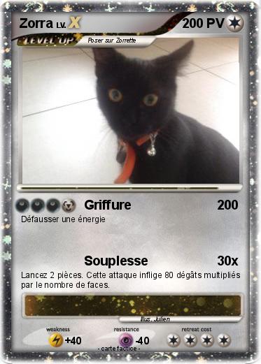 Pokemon Zorra