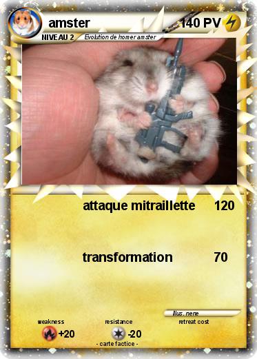Pokemon amster