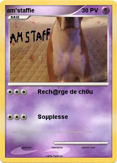 Pokemon am'staffie